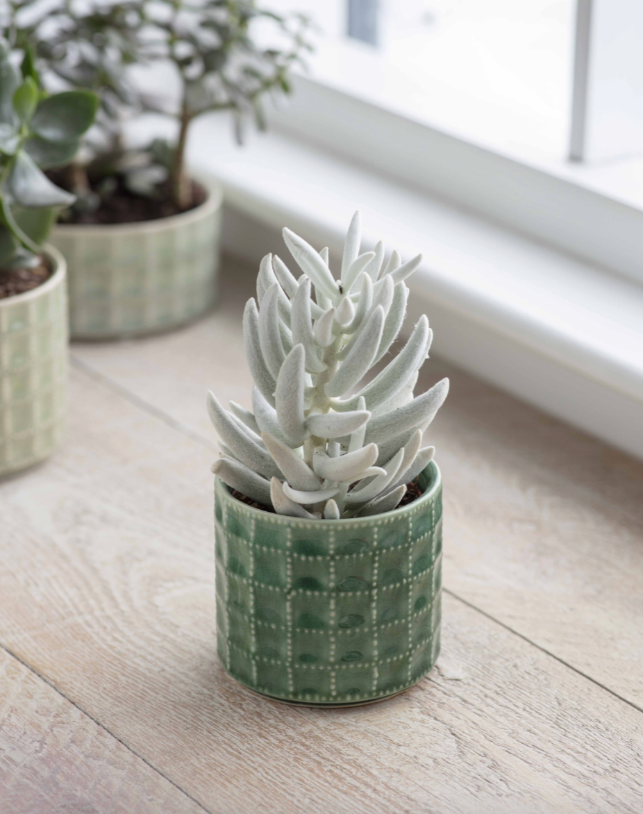 SORRENTO POT - 10CM
