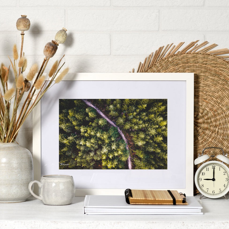 Woodland - Print
