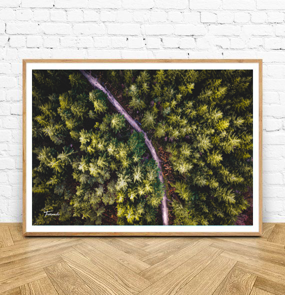 Woodland - Print